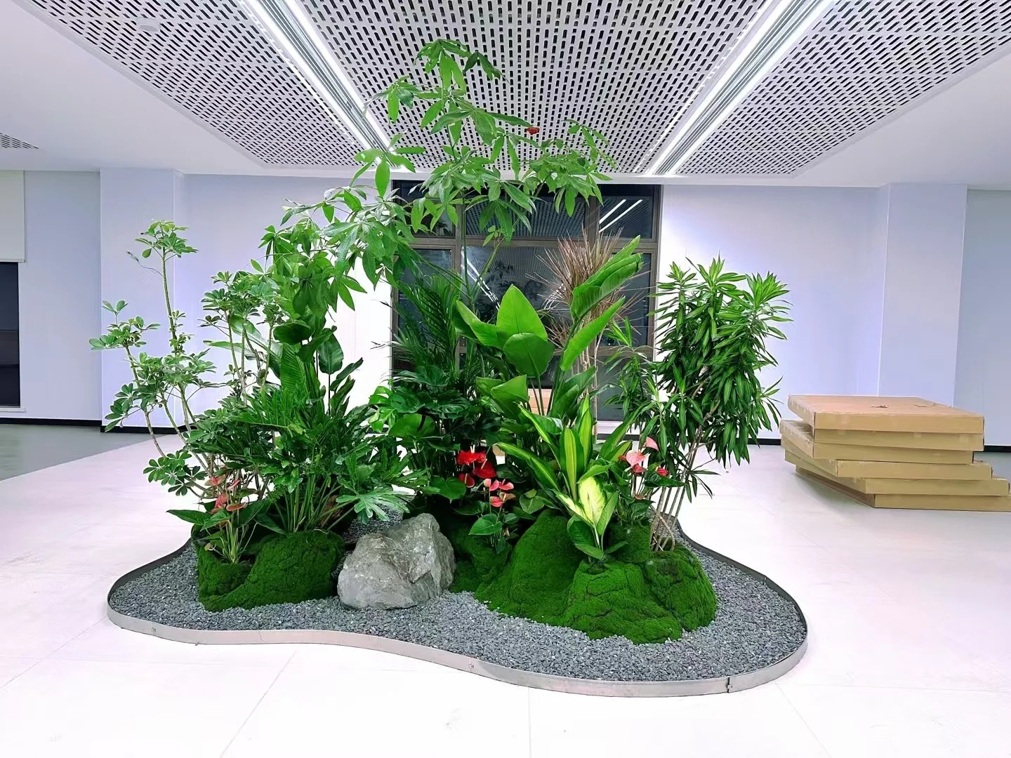 专业花卉租摆,杭州湾的绿色风情等你来享